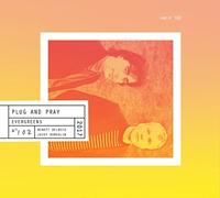 Plug and Pray (Benoît Delbecq et Jozef Dumoulin) - Evergreens