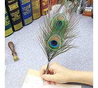 Pluma de pluma con pluma de pavo real sostenido, bolígrafos de escritura novedosos para escuela, oficina, hogar, tinta negra (pluma con soporte)