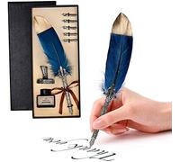 Pluma de pluma, pluma de pluma hecha a mano, juego de pluma de pluma de caligrafía antigua con tinta, pluma de pluma con tinta y puntas de acero, juego de caligrafía, 6 puntas de repuesto (con tinta)