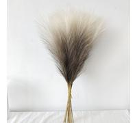 Pluma de Zorro Artificial para estilo Fuegos Artificiores Adorno Sala Oficina Sin Mantenimiento 55cm(beige)