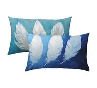 Pluma Fundas Cojines 40x60 Terciopelo Juego de 2, Lujosas Funda Cojin White Súper Suaves y Cómodas, Funda de Almohada con Cremallera Oculta, Fácil Cuidado, Adecuado para Sofá, Cama, Silla S-348