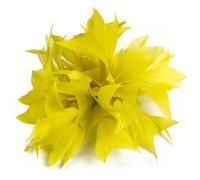 Plumas Broches Clip de plumas dos colores, ramillete pavo for sombrero fiesta, accesorio flor para la Fiesta(Color-06)