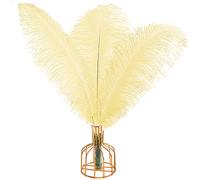 Plumas de avestruz amarillo claro, 12 unidades, grandes, naturales, 40 cm-45 cm, para centros de mesa de boda, fiesta, Pascua, Gatsbi y plumas de decoración del hogar