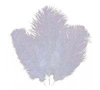 Plumas de avestruz artificiales Crafts Feahter de pluma de bricolaje para la boda Decoración de Navidad 3pcs Plumas de avestruz blancas, plumas grandes, plumas, decoraciones de plumas artesanales.