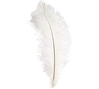 Plumas de avestruz, L: 35-40 cm, blanco, 1 pc