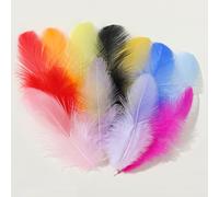 Plumas de Colores,300 PCS Plumas para Manualidades Plumas Decoracion Adornos para Albumes de Recortes para Disfraces Hats Bolsos Aretes Atrapasueños de Bricolaje Festival de Bodas