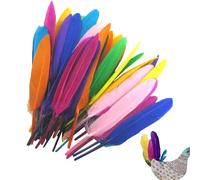 Plumas de colores para manualidades - Ver descripción, 50 unidades jarrón de plumas para mesa de boda, diseño de plumas, plumas naturales
