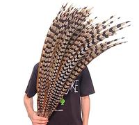 Plumas de faisán Natural Lady Amherst for manualidades, ropa, plumas largas y grandes en la cabeza, plumas, decoración de Carnaval Boas Frather ( Color : 30-35CM 12-14inch , Size : 100 Piece )
