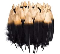 Plumas de Ganso, 40 pcs Oro/Plata Sumergido rojo/Negro Natural Plumas de Gallo Manualidades Decoración para Disfraces Hats, Hogar Bricolaje, Ropa Casa Fiesta (accesorio de disfraz) (Feathers B)