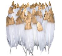 Plumas de Ganso, 40 pcs Oro Sumergido Blanco Natural Plumas de Gallo Manualidades Decoración para Disfraces Hats, Hogar Bricolaje, Ropa Casa Fiesta (accesorio de disfraz)