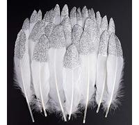 Plumas de Ganso, 40 pcs Plata Sumergido Blanco Natural Plumas de Gallo Manualidades Decoración para Disfraces Hats, Hogar Bricolaje, Ropa Casa Fiesta (accesorio de disfraz)