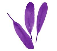 Plumas de ganso coloridas plumas de ganso naturales, plumas reales, accesorios para manualidades, manualidades, atrapasueños, disfraces, sombreros, máscaras, accesorios, decoración de moda, para bodas
