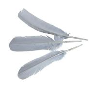 Plumas de ganso multicolor, plumas de pavo pointer, plumas grandes para manualidades, bisutería, disfraces, 25-35 cm, plumas decorativas, gris, 100 unidades