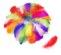 Plumas de Ganso Netspower, Decoración, Fiesta, Boda, Classic, Pluma, Irregular, Blanco, Rosa, Azul, Amarillo, Púrpura, Verde, Naranja, Rojo