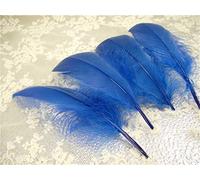 Plumas de ganso sueltas, 70 colores, para sombreros, tocados, artesanías, decoraciones, lámparas, persianas, disfraces 10 unidades Wave #72