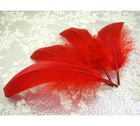 Plumas de ganso sueltas, 70 colores, para sombreros, tocados, artesanías, decoraciones, lámparas, persianas, disfraces 10 unidades Burgundy #26