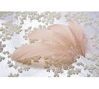 Plumas de ganso sueltas, 70 colores, para sombreros, tocados, artesanías, decoraciones, lámparas, persianas, disfraces 10 unidades Nude #67