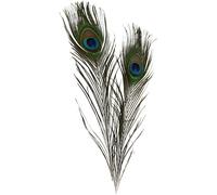 Plumas de pavo real, L: 25-30 cm, 10 unidades