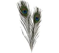 Plumas de pavo real, L: 25-30 cm, 10 unidades