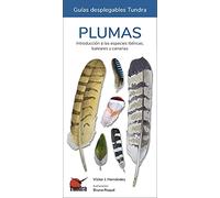 Plumas. Introducción a las especies ibéricas, baleares y canarias (MI PRIMERA GUIA DE...)