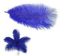 Plumas Naturales de Avestruz para Decoración de Hogar Boda DIY, 20-25cm/30-35cm, Set de 10PCS (30-35CM, AZUL)