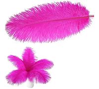 Plumas Naturales de Avestruz para Decoración de Hogar Boda DIY, 20-25cm/30-35cm, Set de 10PCS (30-35CM, FUCSIA)