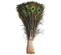 Plumas naturales de pavo real de 24 pulgadas originales Mor Pankh de plumas reales para decoración del hogar (paquete de 20)