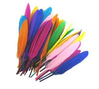 Plumas para manualidades - 50 piezas de plumas de ganso pastel de macaron, plumas naturales puras sostenibles, material de textura suave, accesorios coloridos, decoración del hogar