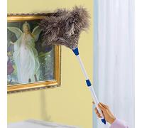 Plumero de plumas de avestruz extensible, 53 a 73 cm
