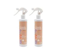 PLUS HOME Aromas para el Hogar: Explora Nuestra Gama de Ambientadores en Spray. CANELA NARANJA 300ML