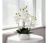 PlusFive Flores artificiales de orquídea en maceta de cerámica, flor realista de seda blanca Phalaenopsis, planta de orquídea sintética de 36 cm para decoración interior del hogar, decoración de