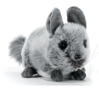 Plush & Company 15765 Peluche Chinchilla De Ande L. 20 CM Chinchillas Chinchilla