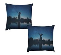 Plush Pillow Case Cojines Salon Modernos Silhouette of Dancing Girl by The Water - Fundas Cojines 26 "x26 " , Cojines Marineros , Almofadas Para Sofá - Peluche Suave, Cierre Invisible