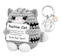 PLUSHCEWT Handgewäkelte Pocket Hug Katze mit Glücksbringer Spielmünzen kleine Ubmung Geschenk der Ermutigung Anti-Stress Kuscheltier für Emotionale Unterstützung Mutmacher Geschenk für Frauen
