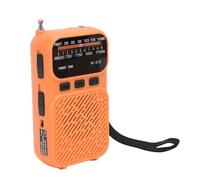 Plyisty Radio Portátil, Am FM Bluetooth 5.3 con Procesador de Señal Digital y Antena Telescópica, Batería 2000mAh para Reproducción 24H, Reproductor MP3 con Linterna (con Manual de Usuario)