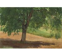 PMEFGJDPE Famoso Impresiones de Lienzo Impresion Arte Pared Studio di luci e ombre di Rosa Bonheur para la Decoración del Hogar de la Oficina 60x90cm