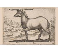 PMEFGJDPE Famoso Painting Cuadro Lienzos Fotos Cavallo con le corna di Antonio Tempesta para la Decoración de la Sala de Estar 60x90cm