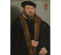 PMEFGJDPE Famoso Pared Decoración Arte Lienzo Imagen Ritratto di un uomo di Lucas Cranach il Giovane para Decoración de Paredes 60x90cm