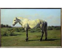 PMEFGJDPE Famoso Pared Decoración Arte Lienzo Imagen White Horse in Pre di Rosa Bonheur para Decoración de Paredes 60x90cm