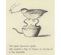 PMEFGJDPE Pinturas Famosas Impresiones de Lienzo Impresion Arte Pared la Queer Querulous Quail di Edward Leaars para la Decoración del Hogar de la Oficina 60x90cm