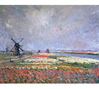 PMEFGJDPE Pinturas Famosas Pared Decoración Arte Lienzo Imagen Campi di tulipani vicino a Leida di Claude Monet para Decoración de Paredes 60x90cm