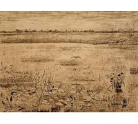 PMEFGJDPE Pinturas Famosas Pared Decoración Arte Lienzo Imagen Paesaggio di palude con ninfee di Vincent Van Gogh para Decoración de Paredes 60x90cm