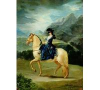 PMEFGJDPE Pinturas Famosas Pared Decoración Arte Lienzo Imagen Ritratto equestre di Maria Teresa De Vallabriga di Francisco De Goya para Decoración de Paredes 60x90cm