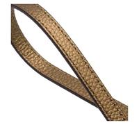 PNESHGTT Compatible con Bolso de Mano, Correa muñeca, Hebilla, asa Cuero for cámara(Bronze,Handle Gold)