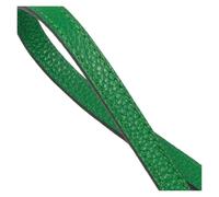 PNESHGTT Compatible con Bolso de Mano, Correa muñeca, Hebilla, asa Cuero for cámara(Green,Handle Gold)