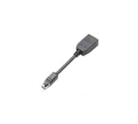 PNY Mini DisplayPort to DisplayPort Adapter - Grey