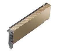 PNY Módulo NVIDIA L4 de 24 GB