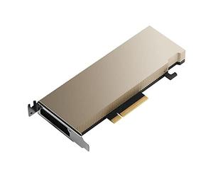 PNY NVIDIA A2 Module 16GB