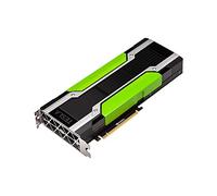 PNY NVIDIA Tesla P40 24 GB GDDR5 - Tarjeta gráfica (Tesla P40, 24 GB, GDDR5, 384 bit, PCI Express x16 3.0), Negro, Verde