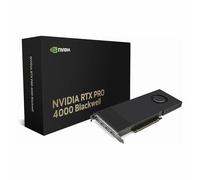 Pny Rtx Pro 4000 Blackwell Nvidia 24 Gb Gddr7 (pny Nvidia Rtx Pro 4000 Blackwell - Oem/small Box.)